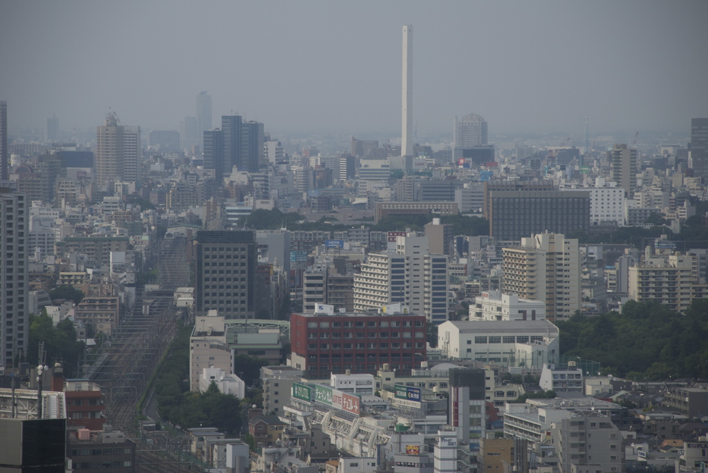 DSC_0018