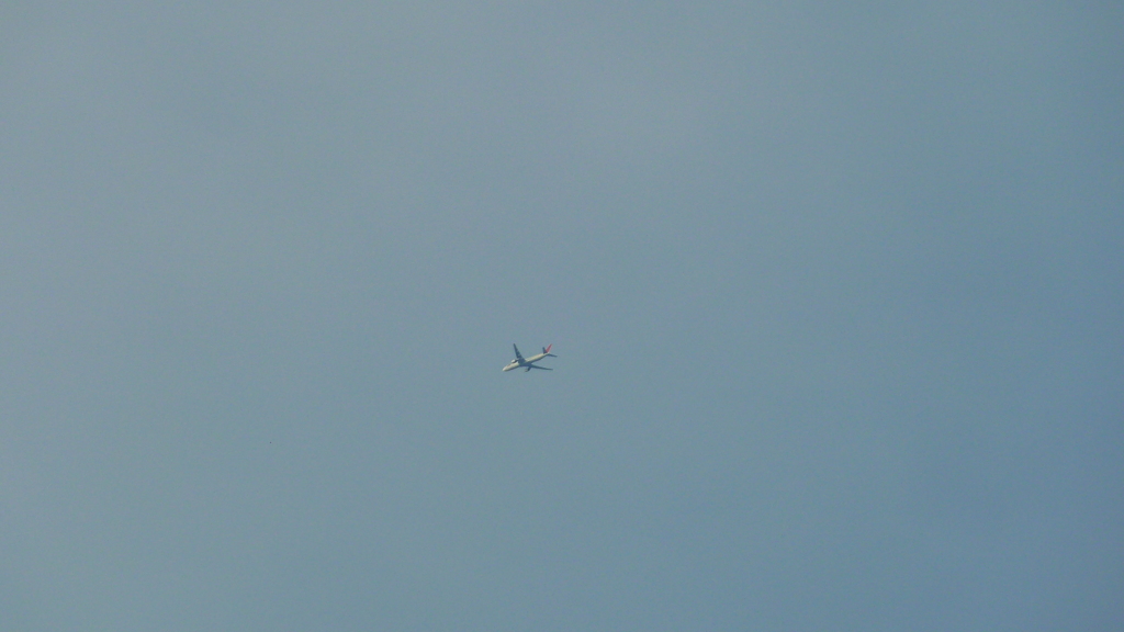 P1000444