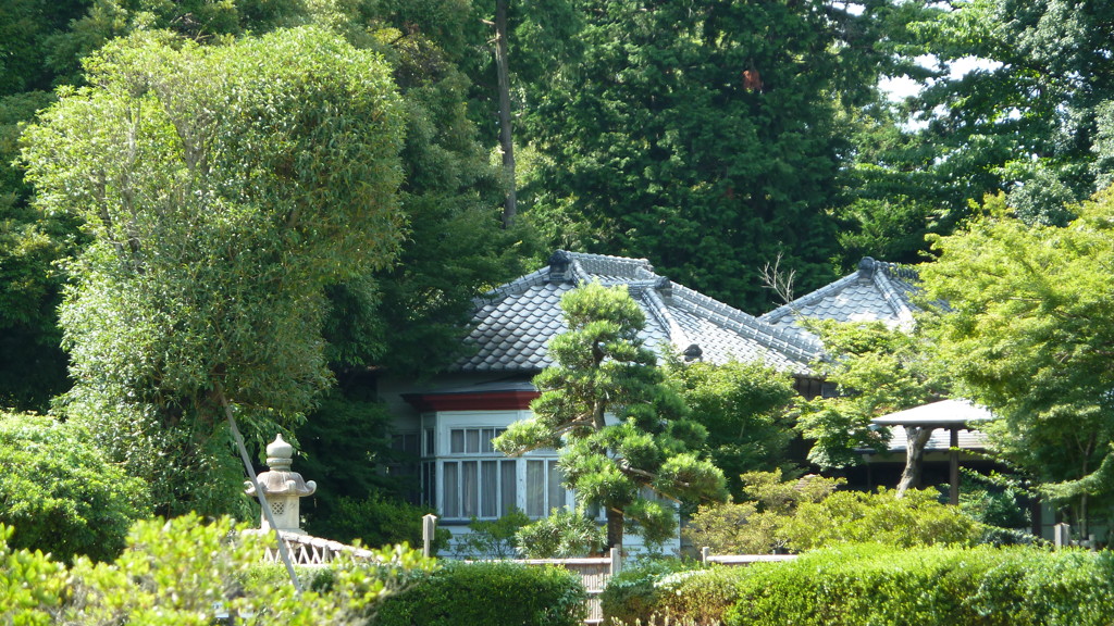 P1000484