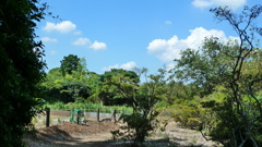P1000473