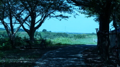 P1000363