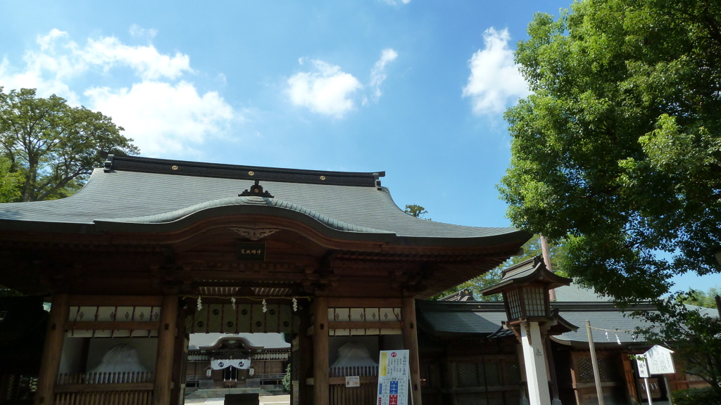 P1000401