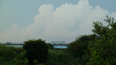 P1000706