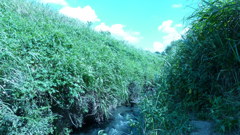 P1000362