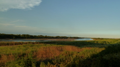 P1000435