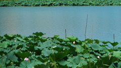 P1000452