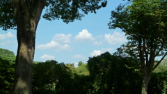 P1000472