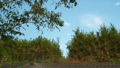 P1000696