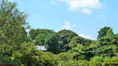 P1000476