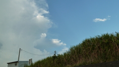 P1000702