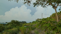 P1000695