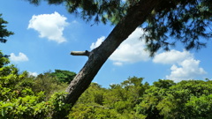 P1000459