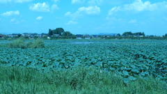 P1000492