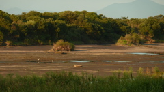 P1000437