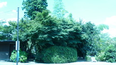 P1000490