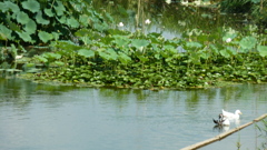 P1000495