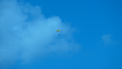 P1000360