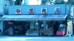 P1000267