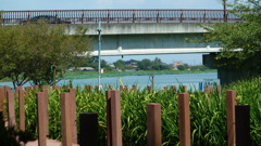 P1000474