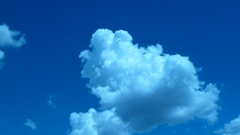 P1000374