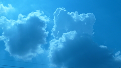 P1000347