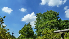 P1000453
