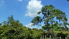P1000445