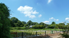 P1000475