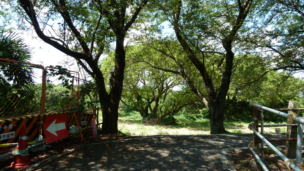 P1000365