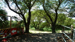 P1000365