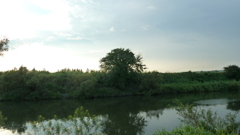 P1000692