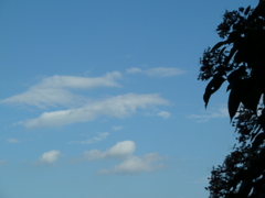 P1000381