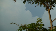 P1000690