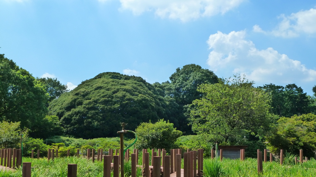 P1000483