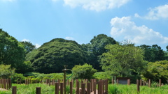 P1000483