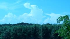 P1000433