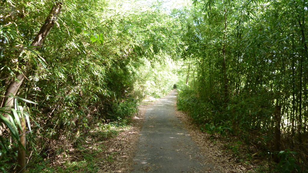 P1000392