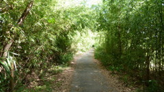 P1000392