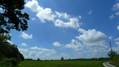 P1000355