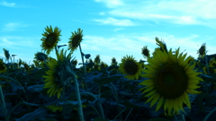 P1000416