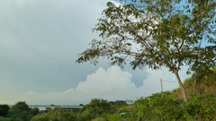 P1000691