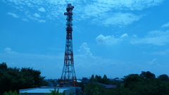 P1000333