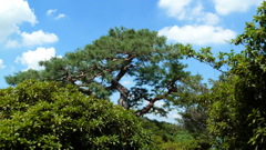 P1000447