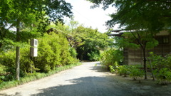 P1000462