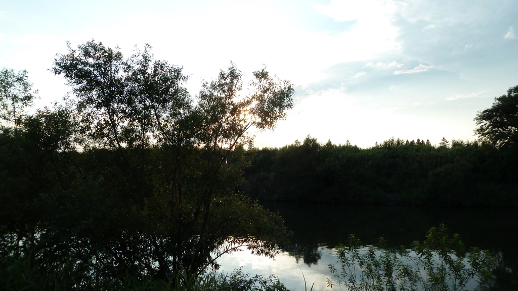 P1000693