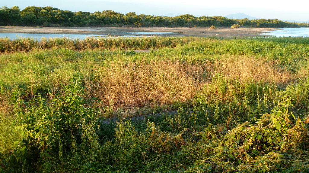 P1000442