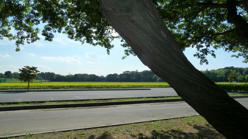 P1000398