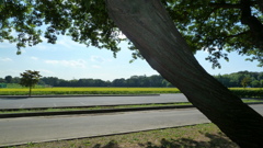 P1000398