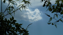 P1000391