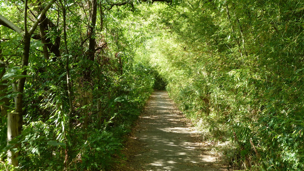 P1000388